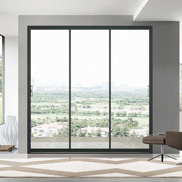 Sliding Door