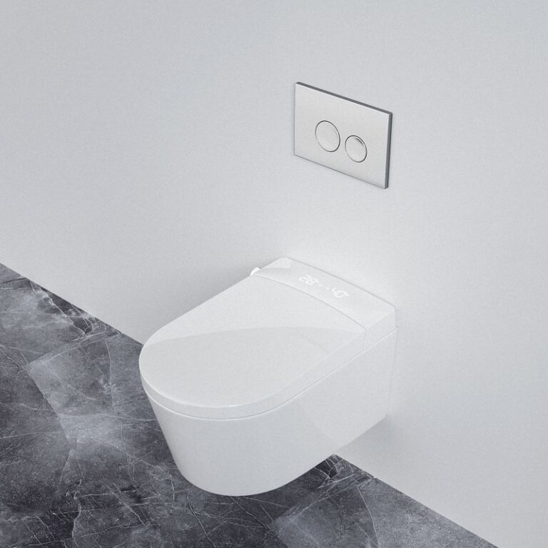 toilet