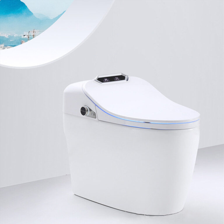 toilet