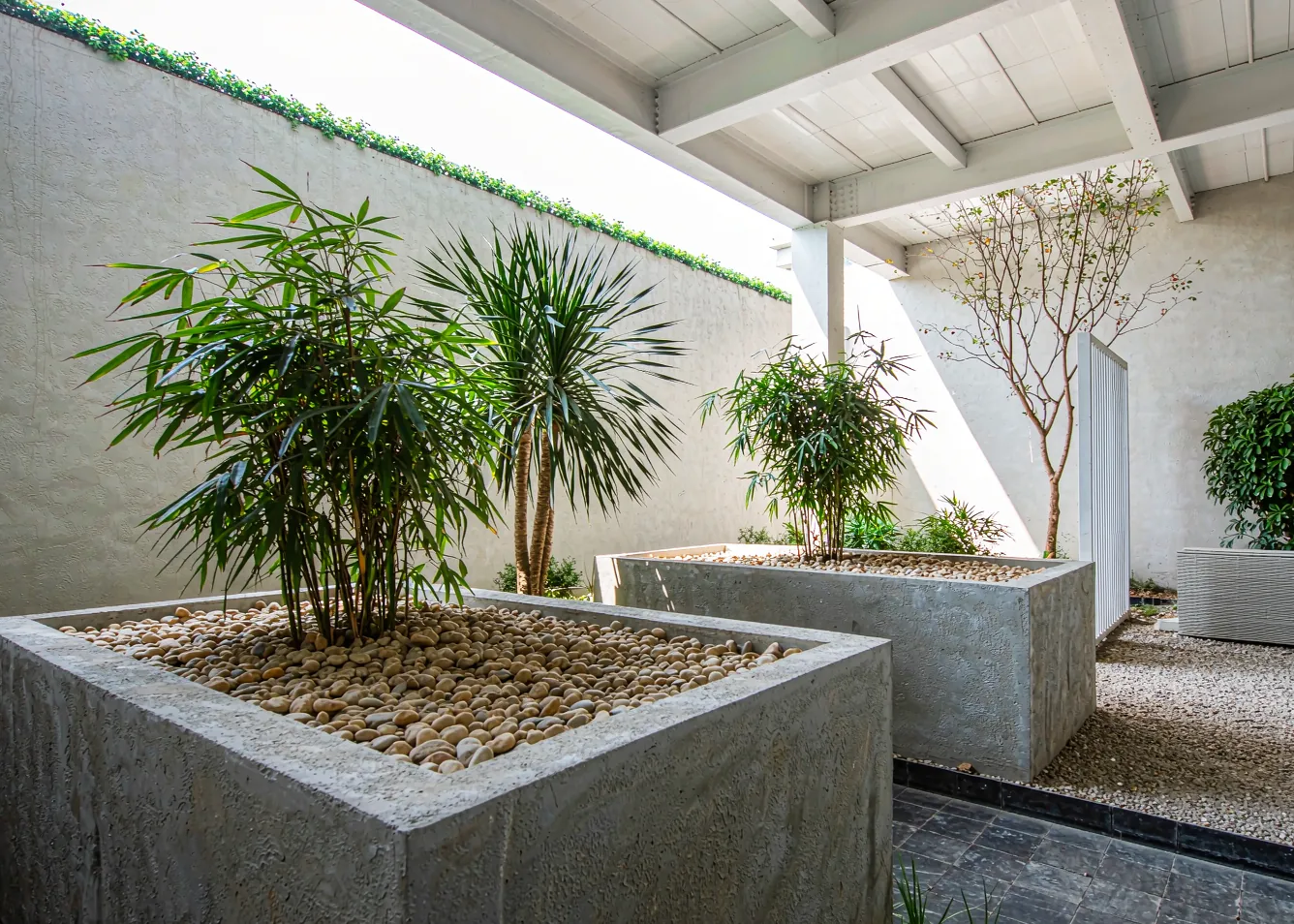 Modern indoor garden courtyard with concrete planters